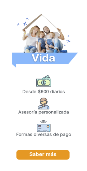 Productos y servicios, seguros de Vida